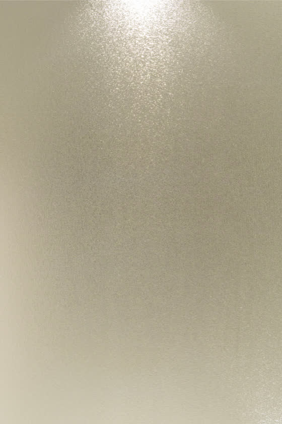 SS-802